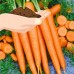 Tendersweet Carrot Seeds - 1 Oz - Non-GMO, Heirloom Vegetable Garden Seeds - Gardening by Mountain Valley Seeds   565454654
